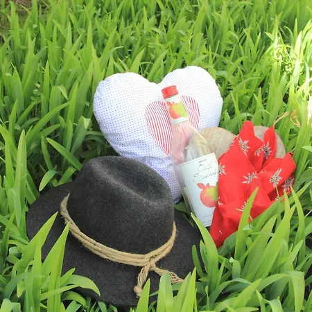 Garni Hubertus-nostalgie & Charme Fulpmes