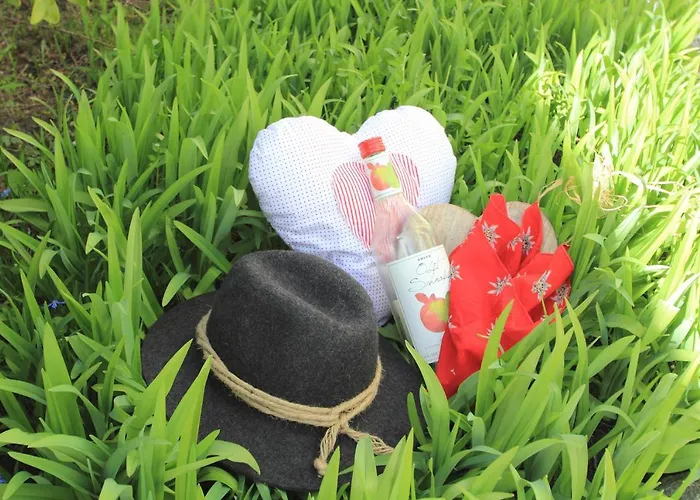 Garni Hubertus-nostalgie & Charme Fulpmes